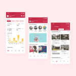 social networking website